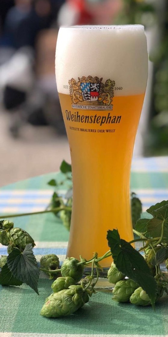 Mei, jetzt ein Weißbier... ;-) #weihenstephaner #beer #bier #weissbier #beers