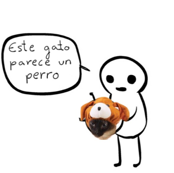 perroparecegato's tweet photo. https://t.co/0XandH1YMK