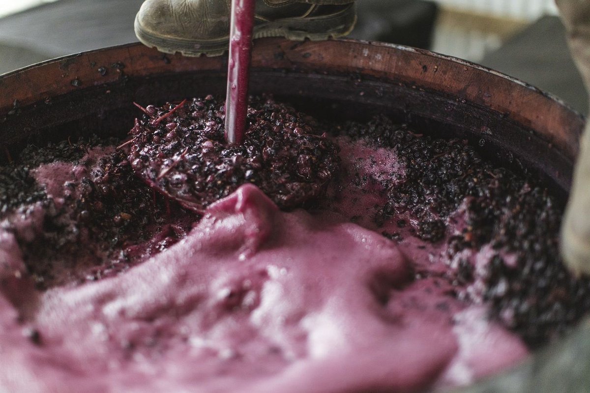 #Shiraz: The story of an Australian legend buff.ly/35W55jj via <a href="/Decanter/">Decanter</a> #wine