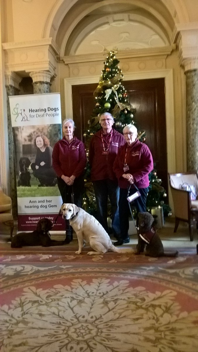 NicholasOrpin2's tweet photo. Fabulous welcome from @StokePark Ladies' Golf Section for @HearingDogs co-founder Bruce Fogle. Thank you to captain Alison Gillam for inspiring an amazing £20,000 for the charity @Alison34050901 https://t.co/iBUwO3QMNA