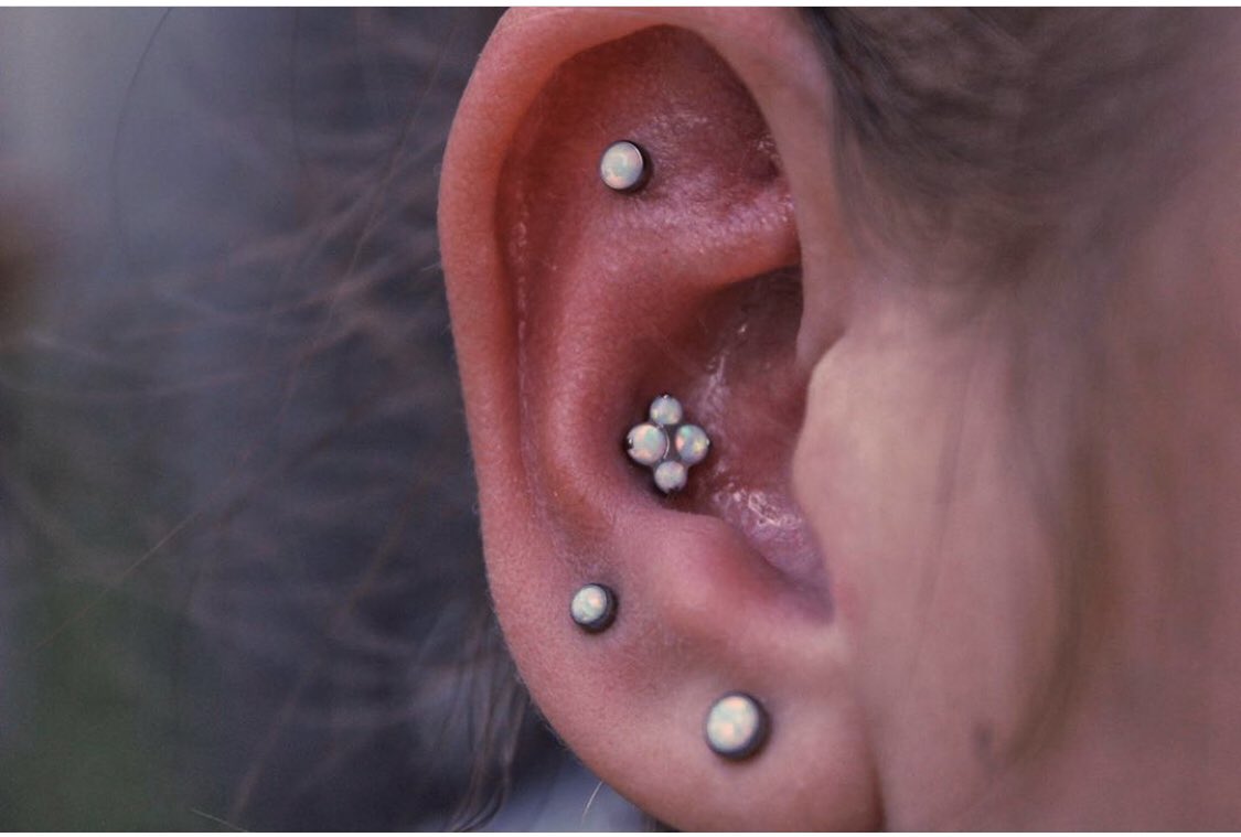 Check out the gorgeous additions to this clients fab collection pierced by Ciaron (@piercingbyciaron) a while back! 💖 A white opal North Star from @industrialstrength looking amazing in the fresh conch and an adorable @neometaljewelry white opal for the fresh flat!