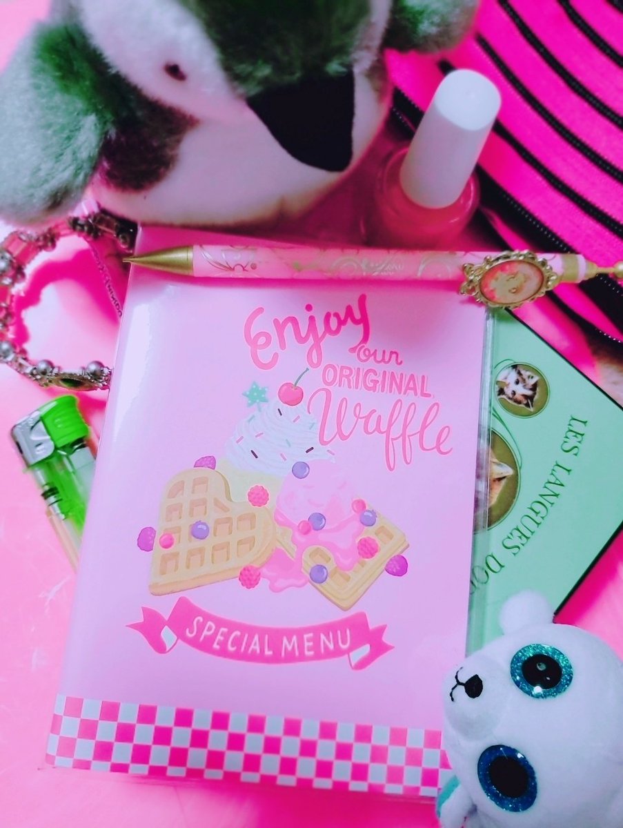 今年充実してた(してる)けどバタバタしてるとも言えるから(自業自得) 初心に戻ってスケジュール帳で来年は管理する 心可愛く生き延びる…