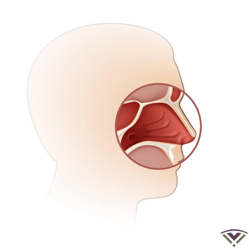 DrWrightSinus's tweet photo. What is an otolaryngologist? An otolaryngologist is a physician who specializes in treating the ear, nose, throat, and related areas! Call us today at 956-998-6673! https://t.co/Kc5cotM4Kk