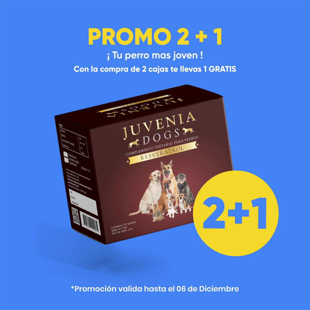 CentroPet's tweet photo. ¡ Tu perro mas joven ! 👇👇 Promo 2+1
https://t.co/KoQK8Rf3aP https://t.co/dR7J5yFBrm