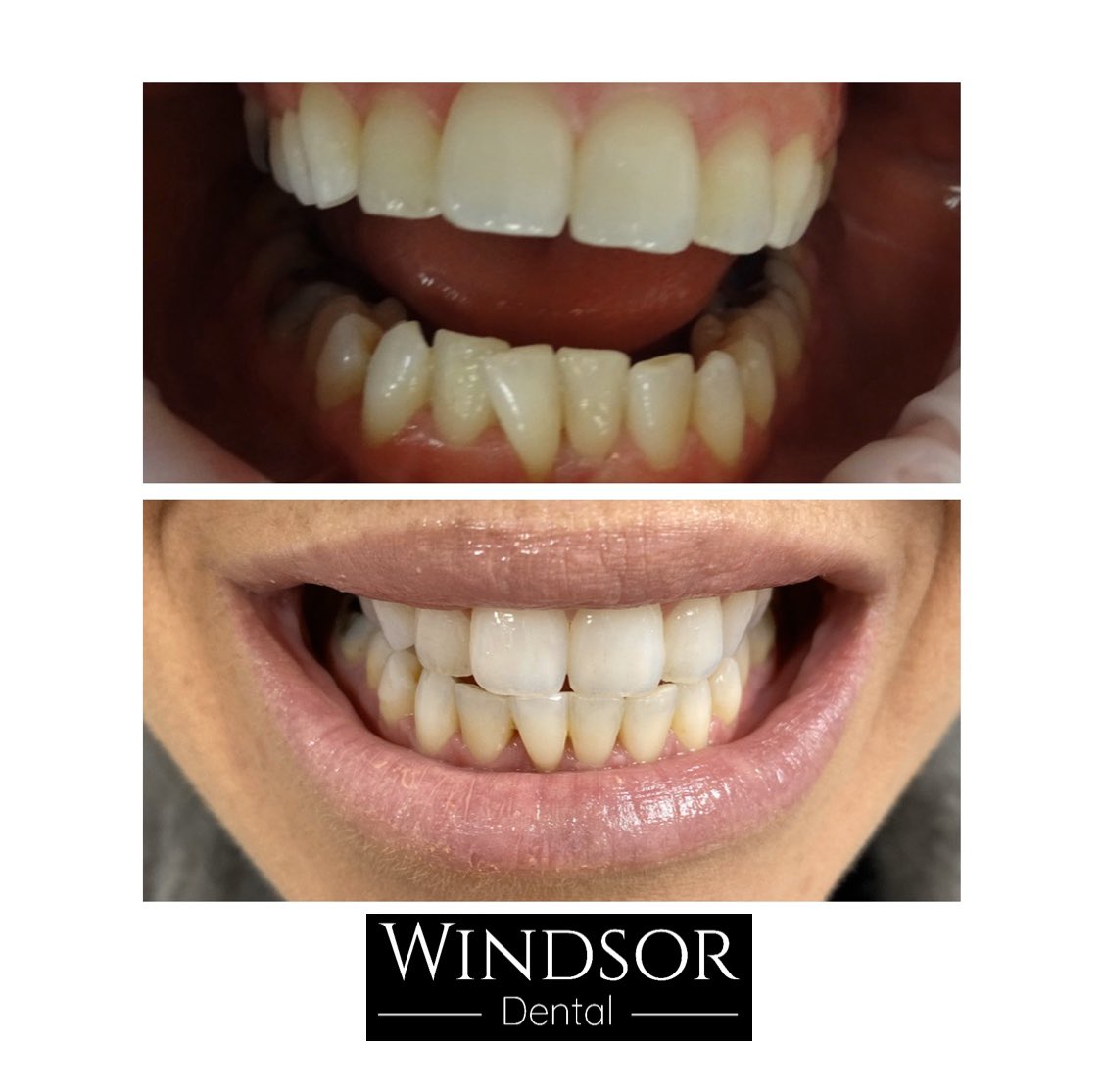 Windsor Dental tweet media