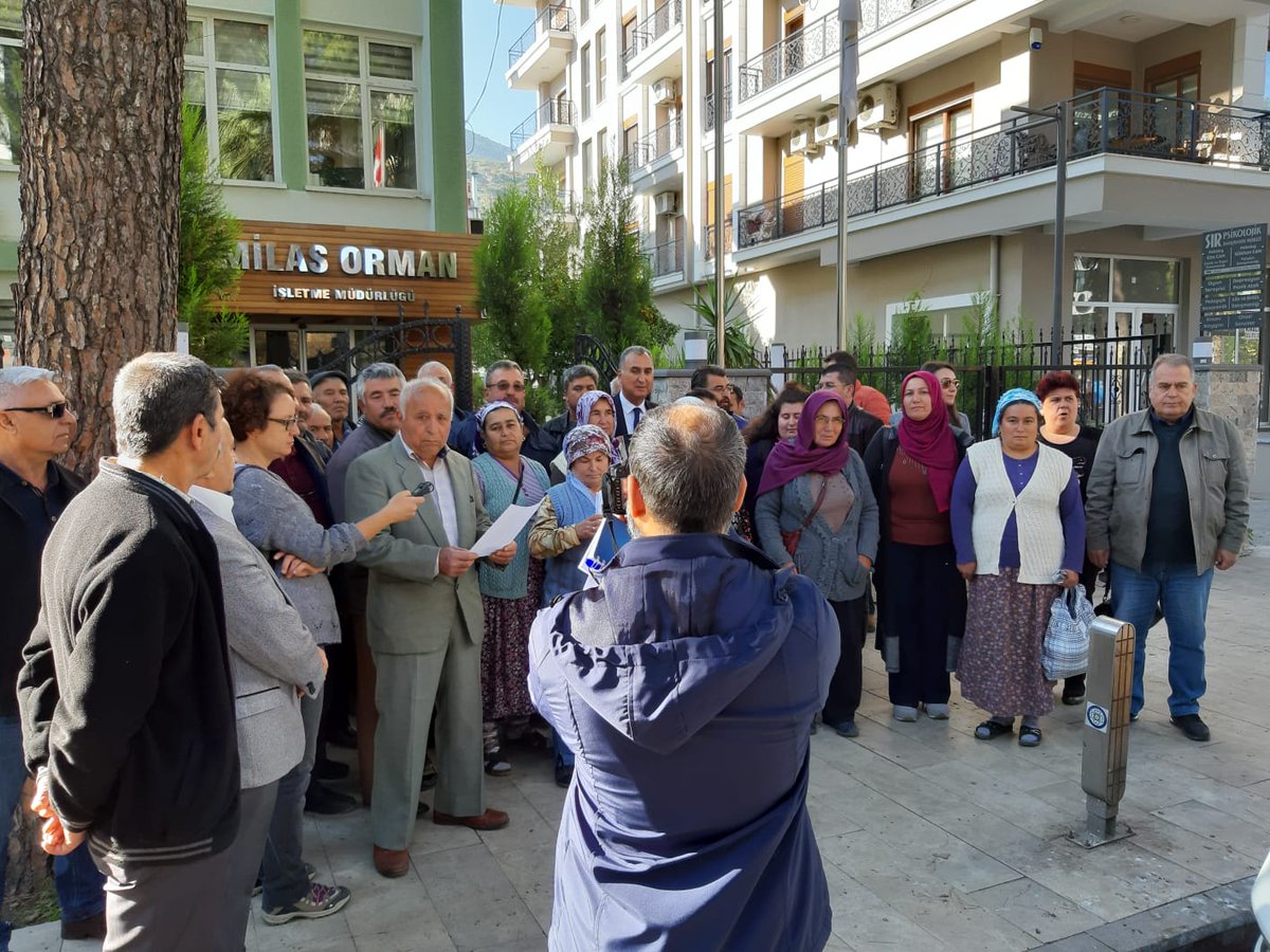 Milas Köylüleri kömür madeni için orman kesen Orman İşletme Şefliği’ne seslendi : 'Hepimizi kömür karası uğruna susuz, havasız, yersiz, yurtsuz bırakmak için yapılan tüm planlara YETER!'