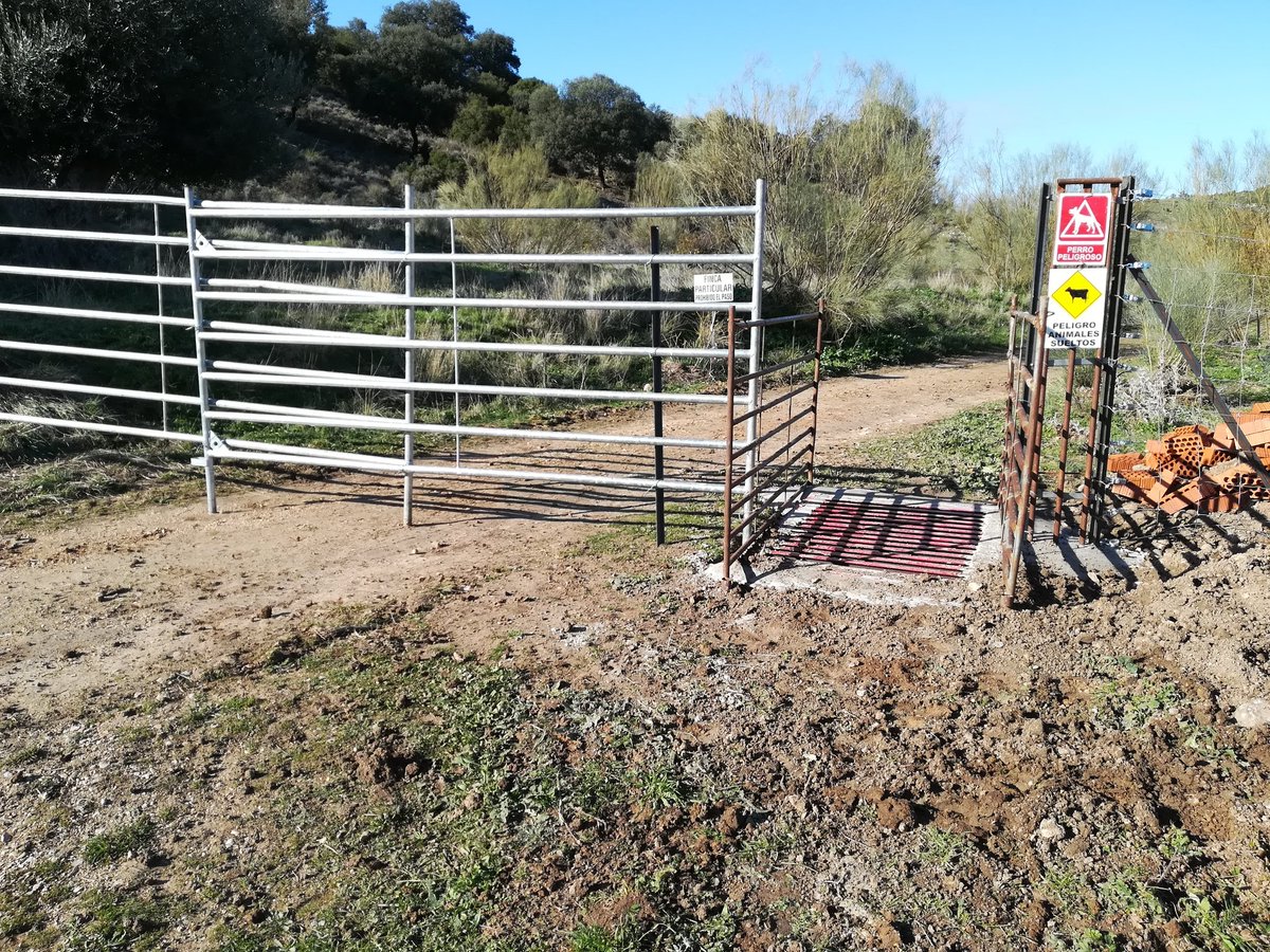 jamisback66's tweet photo. @Arganda_Ayto @CsArgandadelRey @EquoArganda y esto que es? Cierran caminos, meten perros peligrosos y dejan las vacas sueltas por via pecuaria https://t.co/m6ln5DCx5n