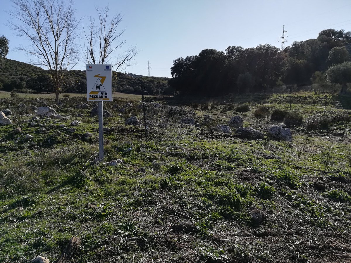jamisback66's tweet photo. @Arganda_Ayto @CsArgandadelRey @EquoArganda y esto que es? Cierran caminos, meten perros peligrosos y dejan las vacas sueltas por via pecuaria https://t.co/m6ln5DCx5n