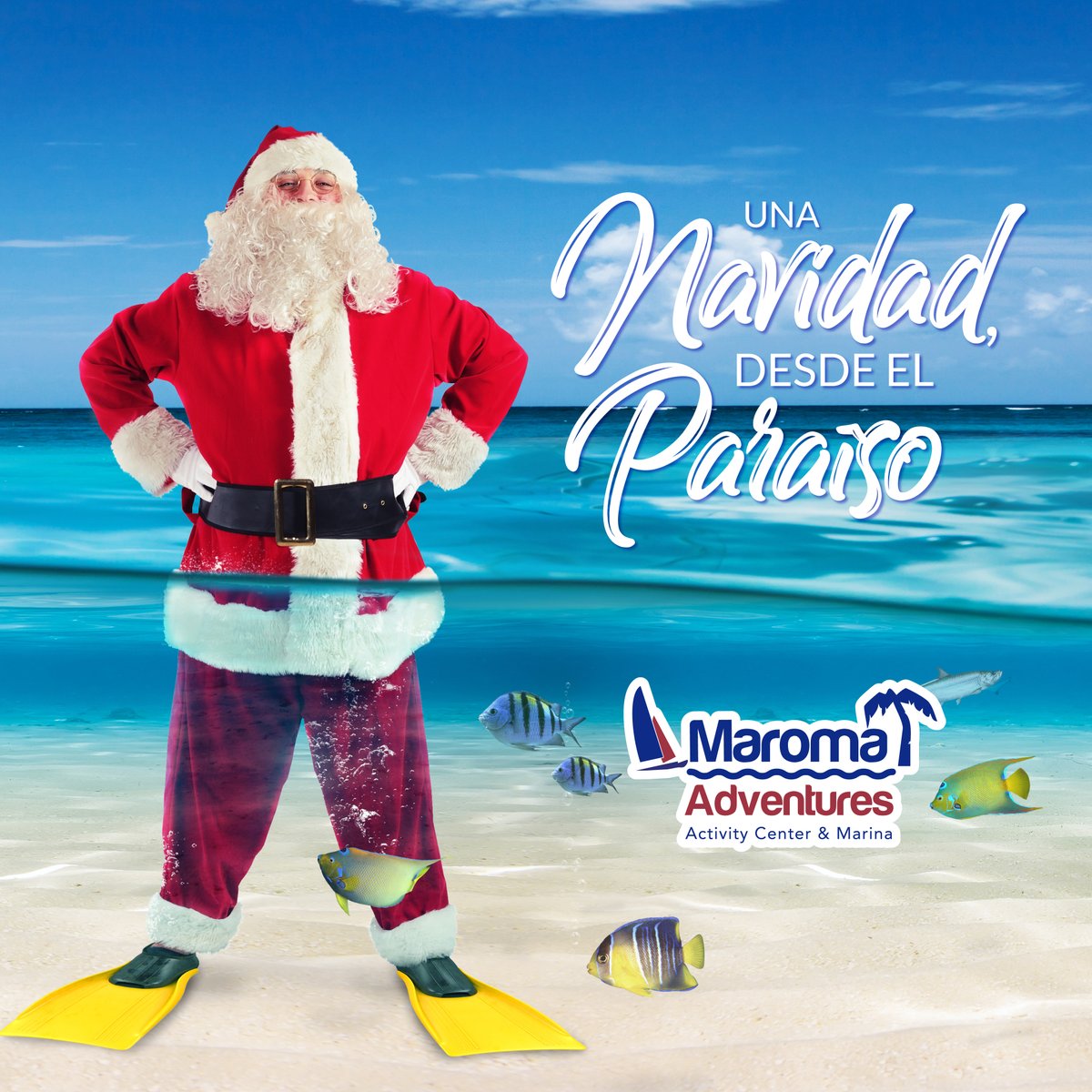 Esta 🎄 Navidad, se trata de disfrutar el tiempo con tus seres queridos y crear recuerdos felices ☺️ que durarán toda la vida.
¡Es tu mejor época para viajar y pasar una navidad en el paraíso!

 sitio web → bit.ly/2OGvpYP

#MaromaAdventures #Playa