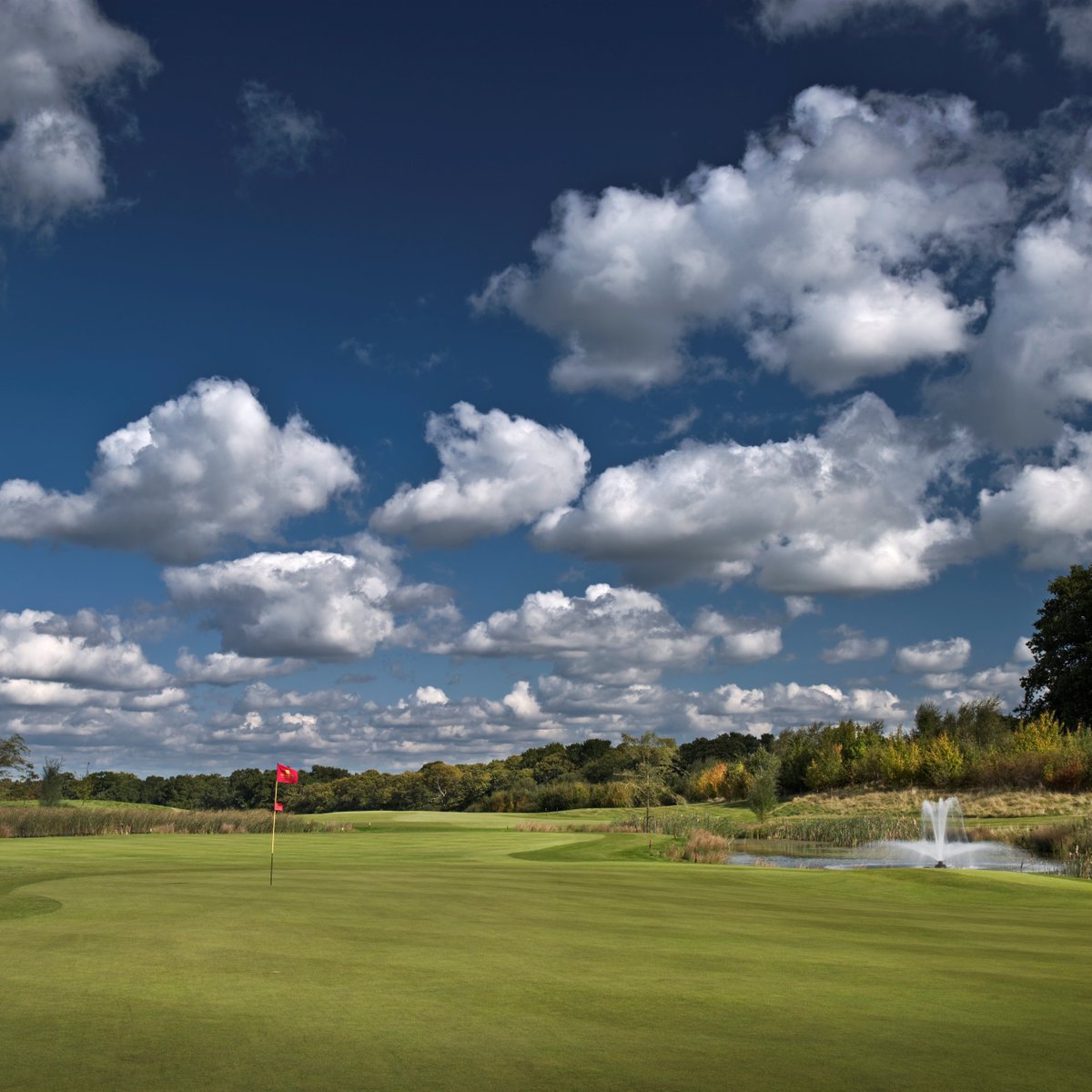 GolfNow UK & Ireland tweet media