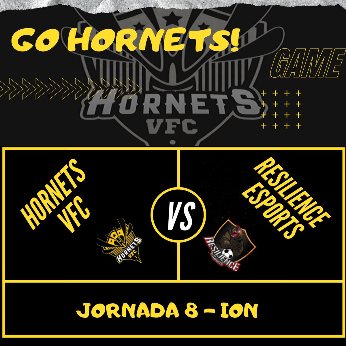 Hornets VFC tweet media