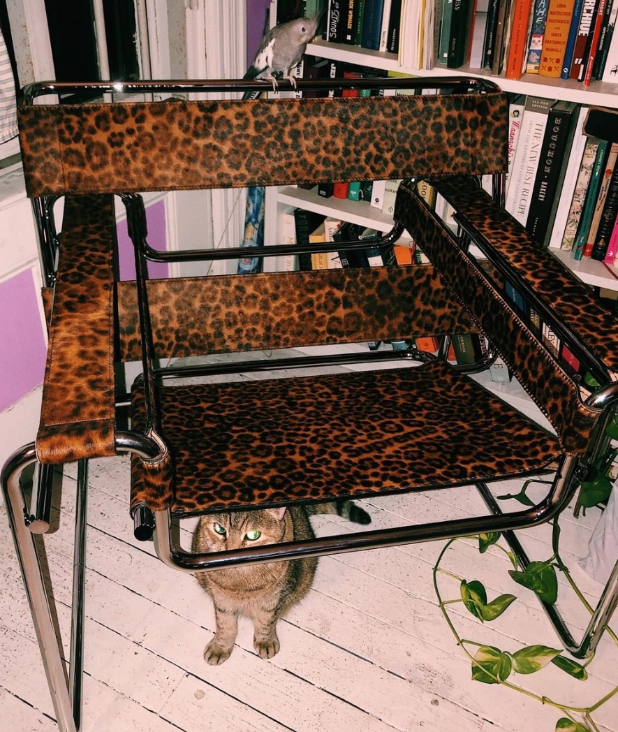 supreme chair retail