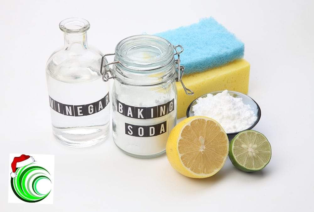 Day 3:
Cleaning for Christmas can be tough, but this year let's make it good for our seas! 🌊 Everything we use in the house will be washing into rivers and the ocean, so simple switches to eco-friendly products can make a big difference! #SeagrassOceanRescue #AdventCalendar