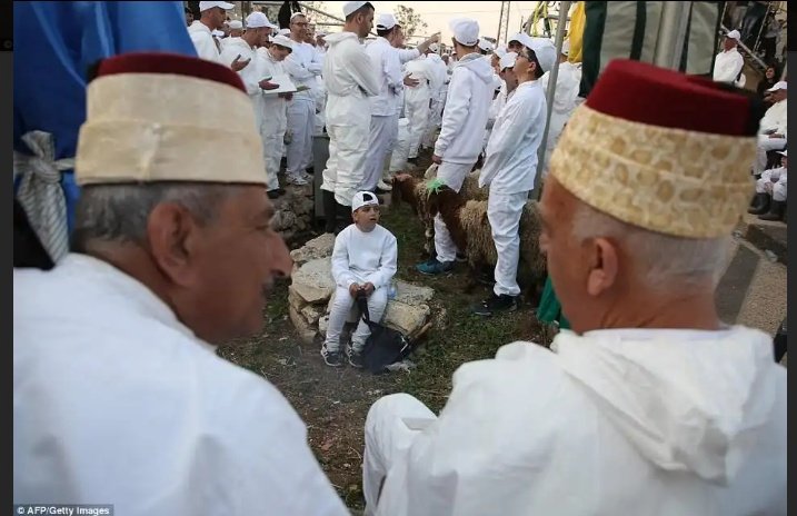 toplumvetarih's tweet image. Eski geleneği canlı bir şekilde yaşatan #Samiri ritüelinin merkezinde "erkek çocuk"ların bulunduğu açıktır.
Kendi sunularını kendileri yiyen, yani  geçmişte #İçKanibalizm uygulayan bu tür topluluklar, kaçınılmaz olarak eriyip yok olmakta, gizli sekt halinde dağılmak durumundadır.