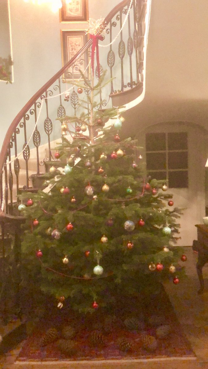 A little more tweaking of the #ChristmasTree and also of the niche, the entrance hall is now finished... I think!! 🤔🤷🏻‍♂️🙈🎄#oldrectorystrettonBedandBreakfast #ShropshireHills #TheLongMynd #RomanticEscape #LoveWalking #ChurchStretton #Ludlow #Shrewsbury