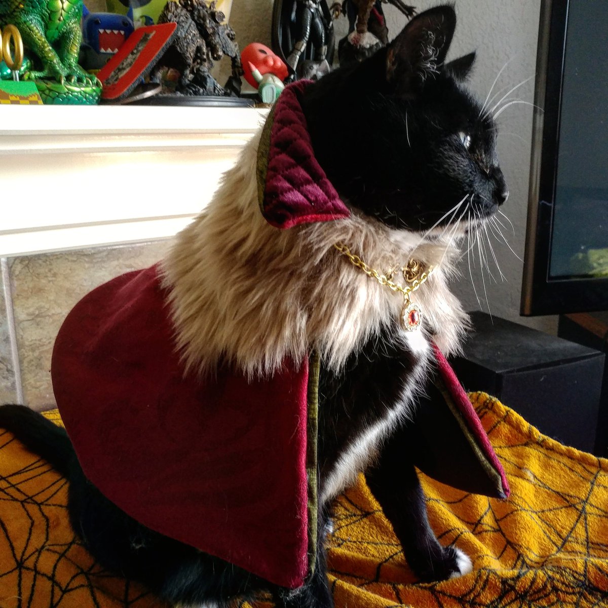 Cat_Cosplay tweet picture