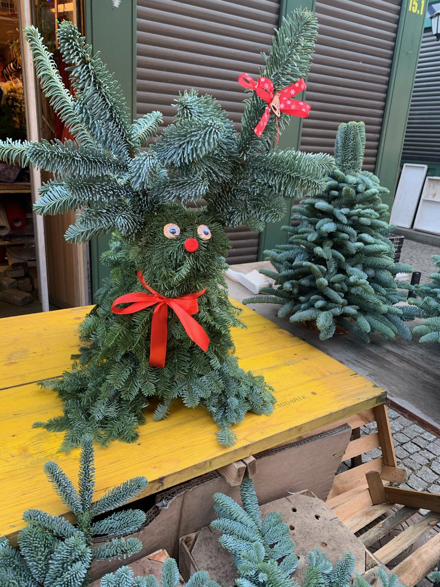 Cliftonville Christmas tweet media