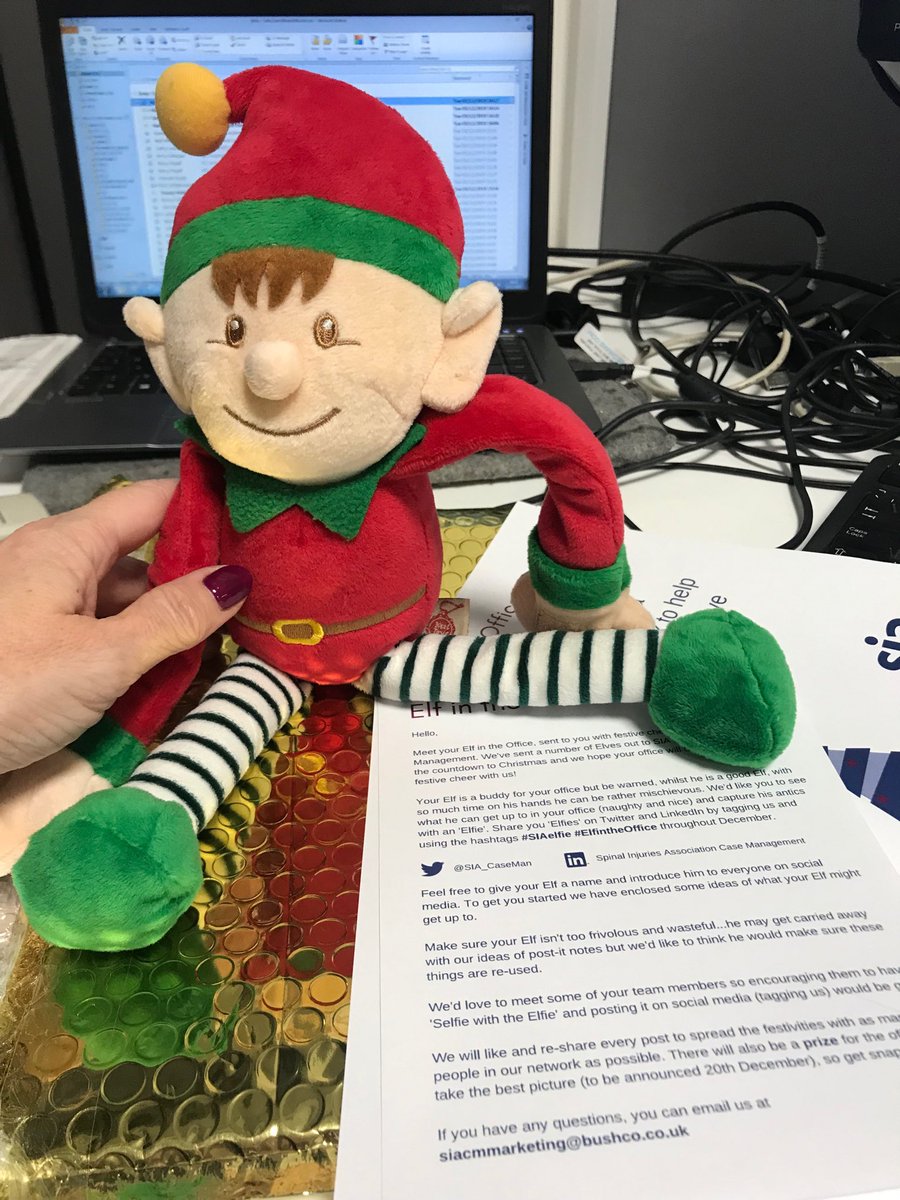 BigHairBigVoice's tweet photo. Well Hello Little Fella @SIA_CaseMan #welcome #festiveelf #NameTBC (not sure how he got in a slightly aggressive stance)... Team #IMSpinal #TeamLeech @PIandMedNeg Name Suggestions? https://t.co/Fy5Uus231T
