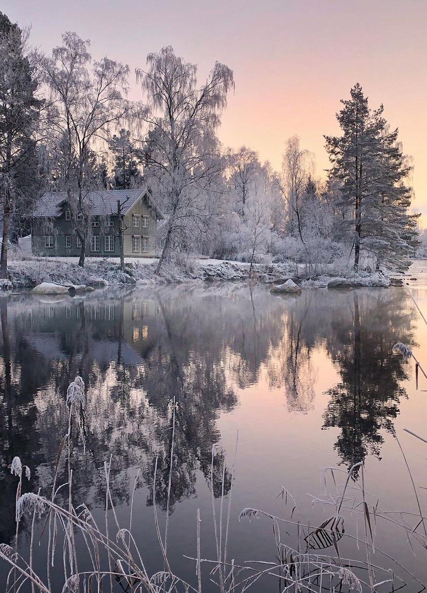gorgeous_pix's tweet image. Winter Reflections. From u/amie71 on Reddit #winterreflections #winter