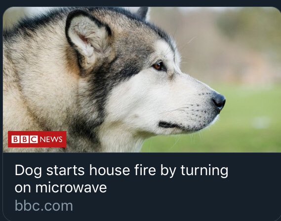 GilesBrody's tweet photo. Huskies + Microwaves = Bad
Huskies + Regular Waves = Good
#DogMaths https://t.co/6ripmxAcFT