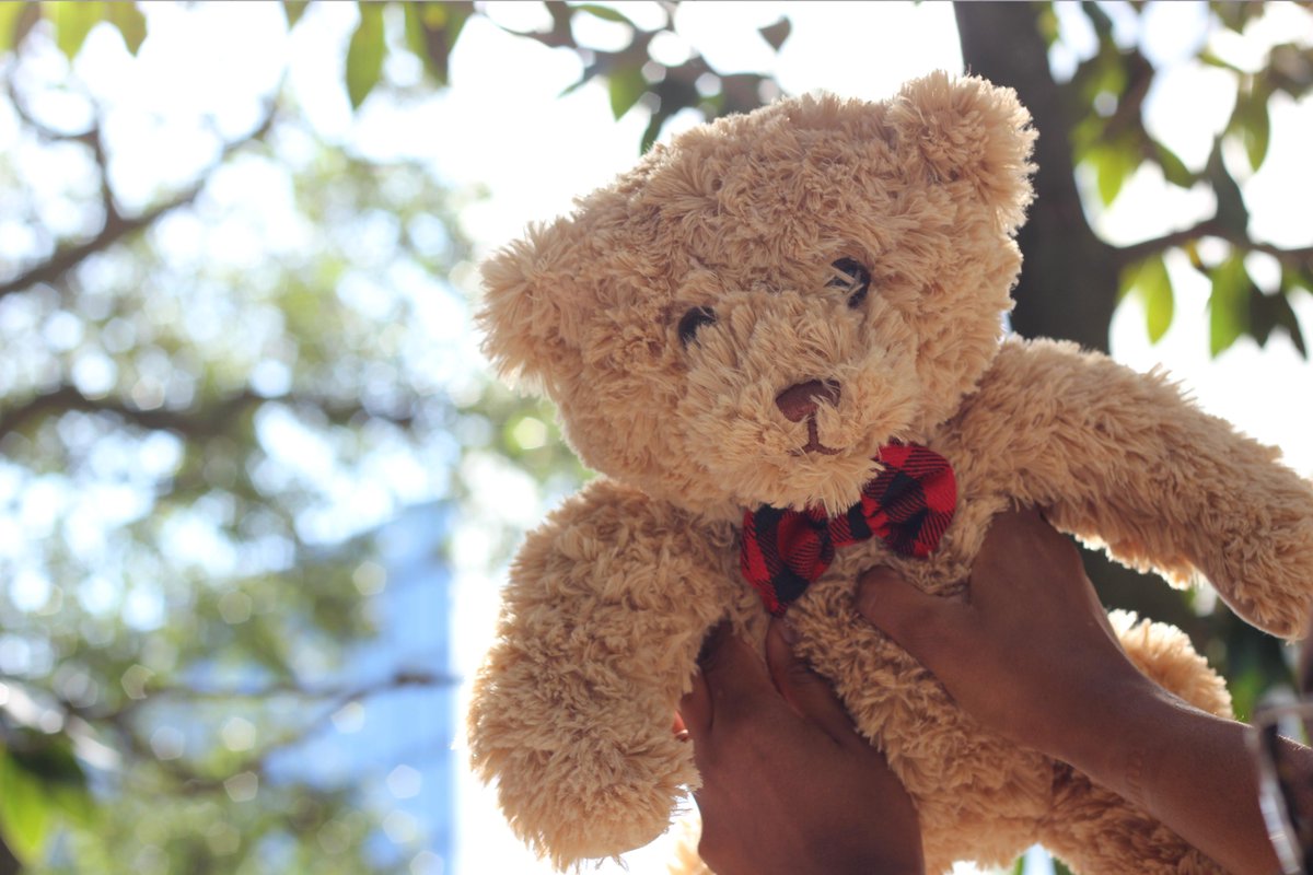 A million hugs this #GivingTuesday can change the lives of many ❤ Give back to <a href="/StJude/">St. Jude</a> by purchasing our bear Miguel and sharing a selfie with our bear filter 🐻 using #bearsthatcare

More here: stage.com/stjude/