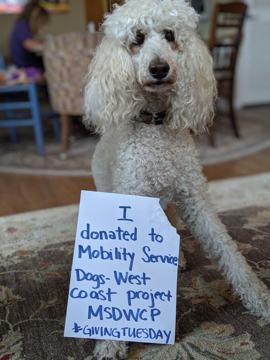 A $25 gift today can outfit one service dog with a service dog harness vest. Will you join us? #GivingTuesday #TurnYourTuesday #MobilityServiceDog #MobilityServiceDogWestCoastProject #ServiceDogsAwareness