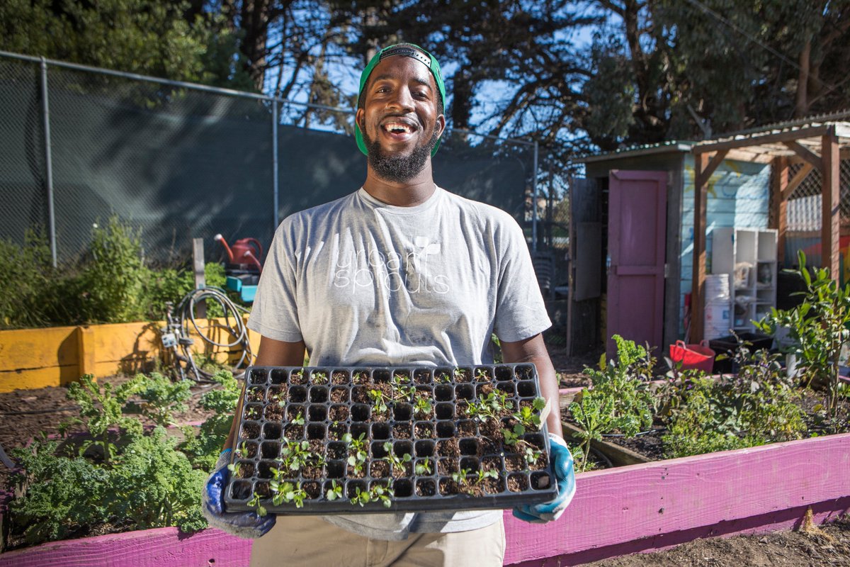 Urban Sprouts tweet media