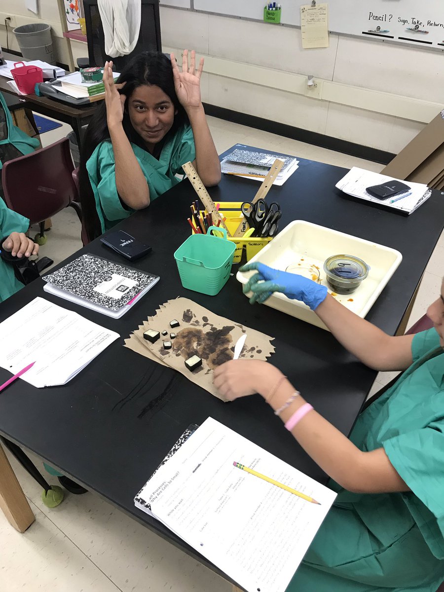 FranklyScience's tweet photo. First and second quarter have flown by so fast here are some highlights: potato lab #LakesideBulldogs #room103 #FranklyScience https://t.co/rWUvFaopiw