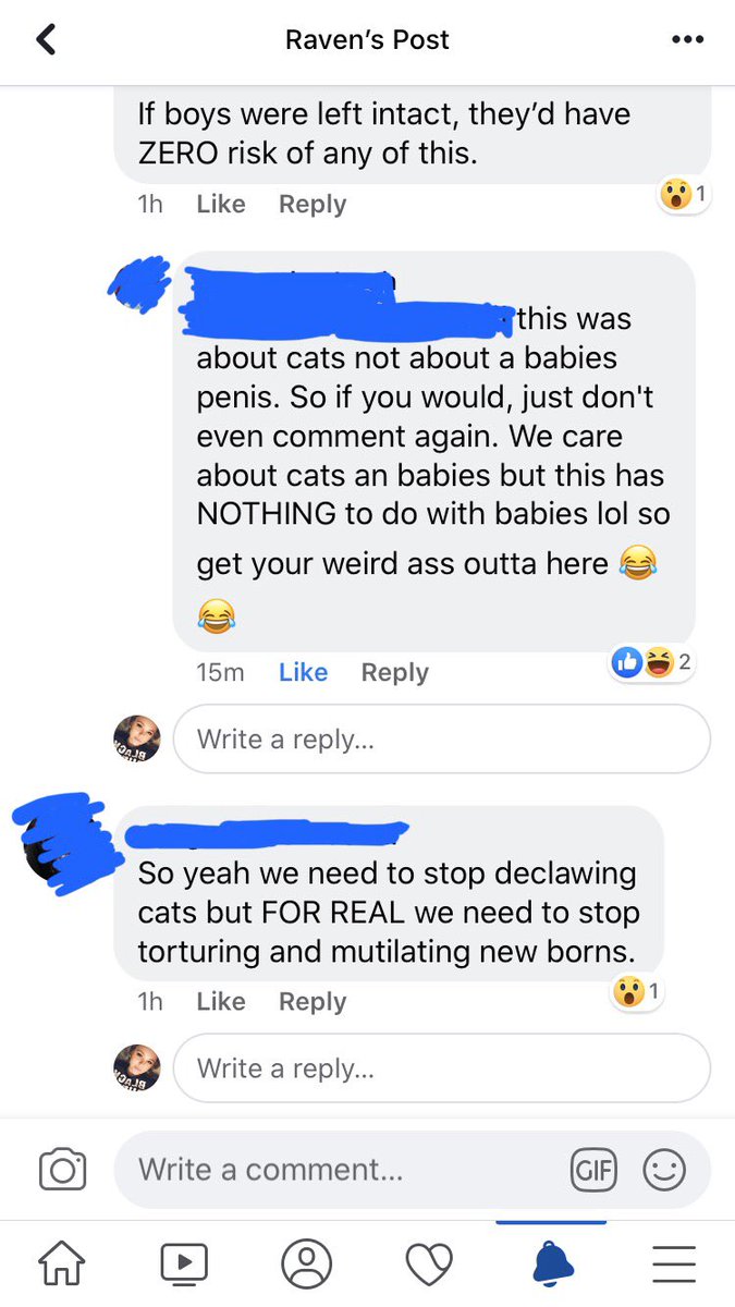 Raven_Fawn's tweet photo. So I shared this post on my fb and got this as a comment. Gotta love when the girl you’re talking to steps in and says something about what a stupid weird comment this was on my post about cats 😂���️ https://t.co/2WAt9ftfZQ