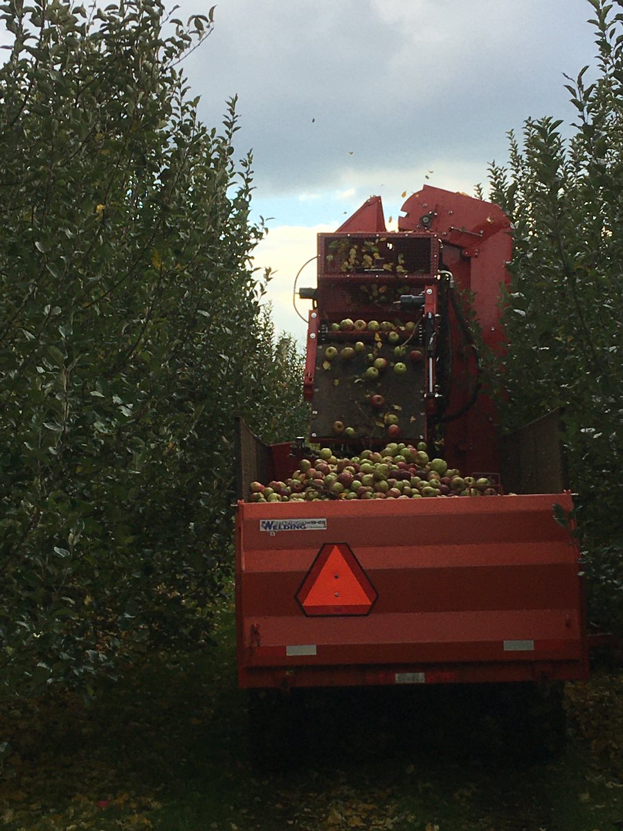 New on the farm in 2019: Mechanical Juice Apple Harvesting system. Thanks to the Canadian Agricultural Partnership for helping to make the project possible. See the video here: vimeo.com/372986734
@BrettSchuyler @NorfolkApples @ontarioapples @OntarioSoilCrop