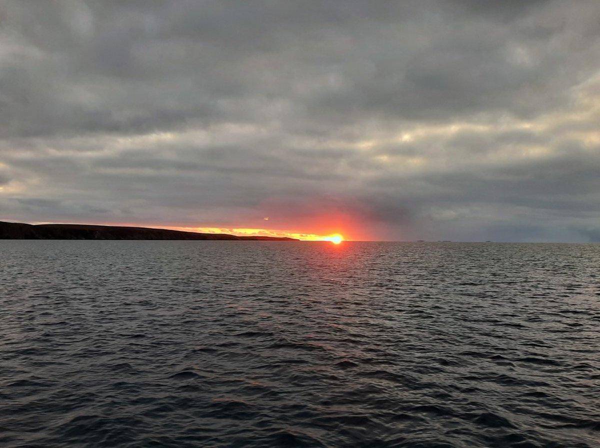 RLShelmerdine's tweet photo. Surveying for #PMFs in the north of Shetland at the weekend with the sun rising over Fetlar. #NAFCresearch #ThinkUHI #maerl #Modiolus https://t.co/5Q20Ulw57i