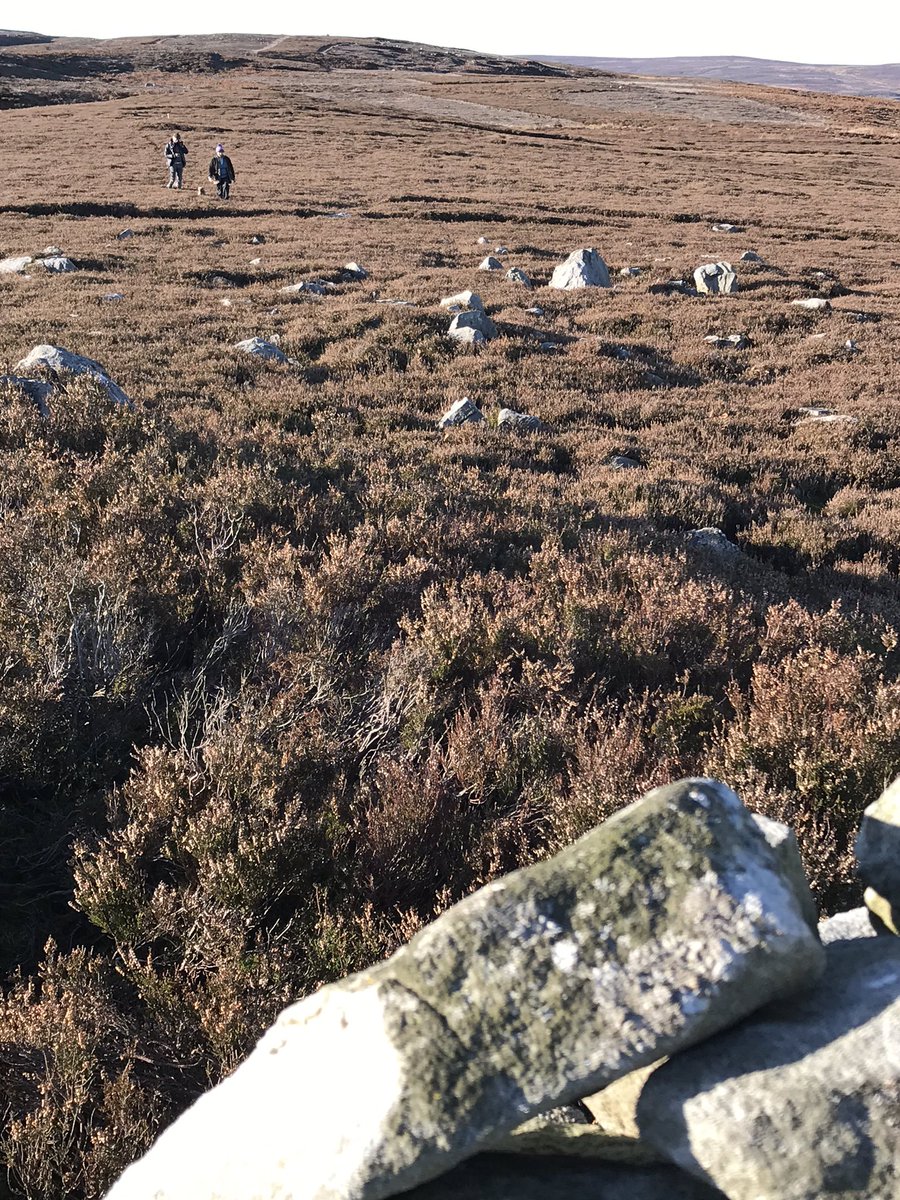 LikeOldTat's tweet photo. What a stunning wander to #Muggleswick Love, life and cheese sandwiches ❤️ https://t.co/6UsV6nwphc