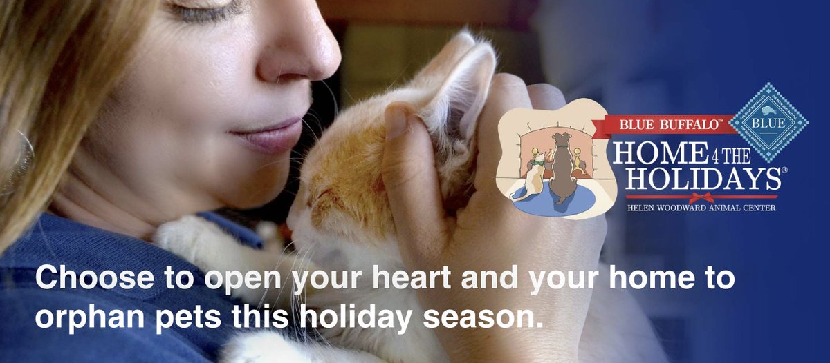 On this #GivingTuesday instead of giving try taking a new furry family member home this holiday season. Home 4 the Holidays is an adoption drive saving millions of orphan pet's lives. #IChoseToRescue this holiday season. animalcenter.org/home-4-the-hol… #TuesdayMotivation