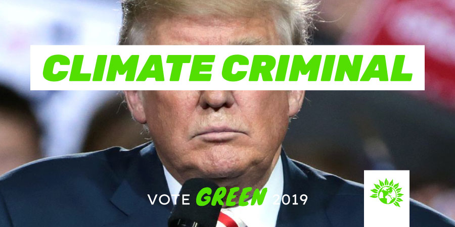 The Green Party tweet media