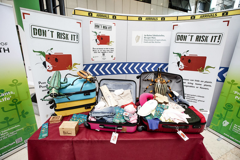 ippcnews's tweet photo. ✈️👜 | Be cautious when bringing plants &amp; plant products across borders. always ensure these products meet #PlantHealth requirements. This helps reduce the spread of plant pests &amp; diseases!

Many thanks to @agriculture_ie for the instructive exhibit @ #IYPH2020 launch event! https://t.co/VMacFSgG9N