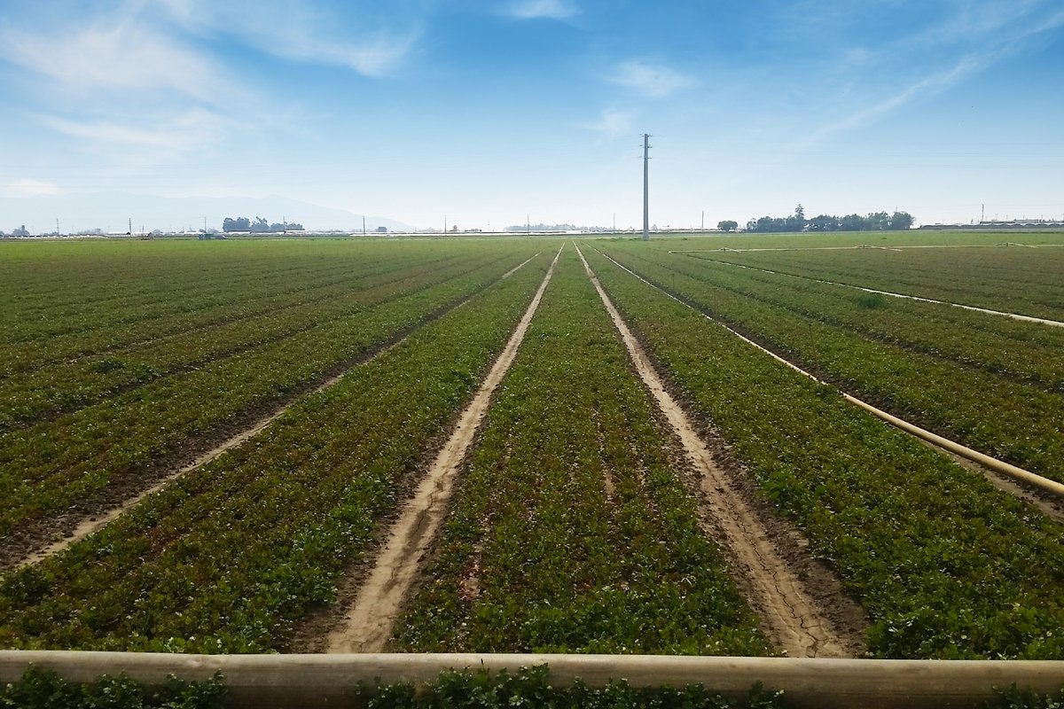 TheLandExperts's tweet image. CBRE Brokers $10.75M Deal for 147-Acre Livingston Ranch in Oxnard, CA - go.shr.lc/33LcS1G via @GlobalAgInvest bit.ly/2qkMVbS