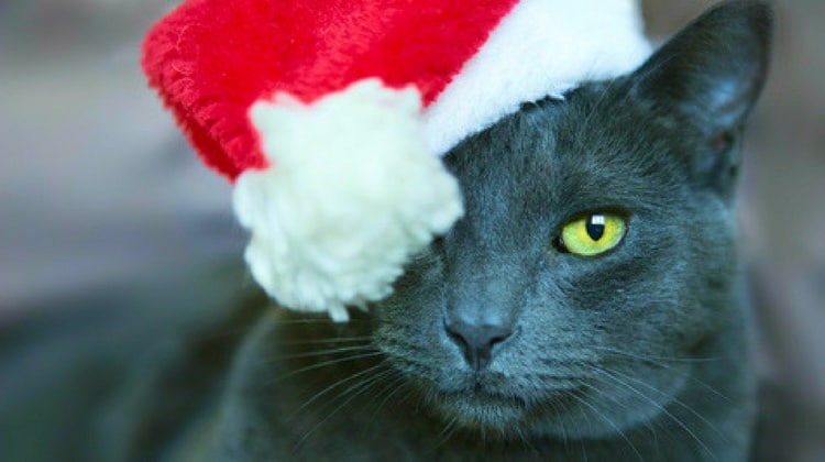 CastletonTRIO's tweet image. Tis the season to be saving - yes, even on a student budget! blogs.castleton.edu/castleton-trio…