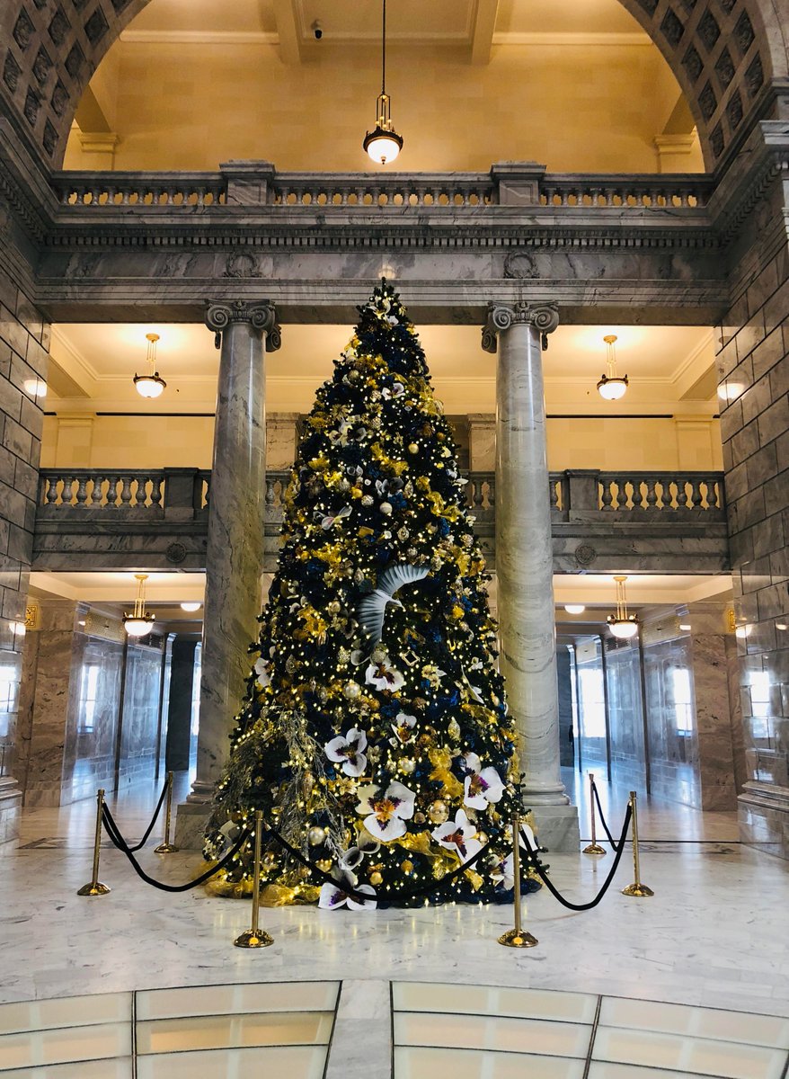 UTStateCapitol's tweet photo. Come enjoy the holiday season at the Utah State Capitol! Celebrate with your friends and family by visiting the beautiful tree in the Rotunda. #utah #utahstatecapitol #utcapitol #slc #tours #docent #volunteer #slcvolunteer #tidbittuesday https://t.co/XNkQavyGIX
