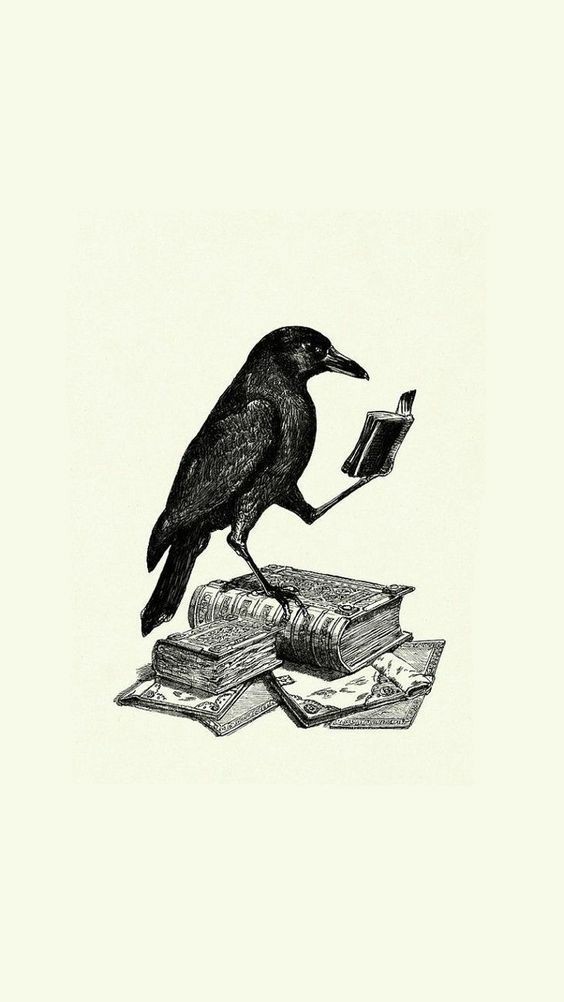the_goldenbook's tweet photo. When i looked at him first time, i thought, maybe he's the one.
#my_book
What's your favorite book? https://t.co/AIU75bK4iV