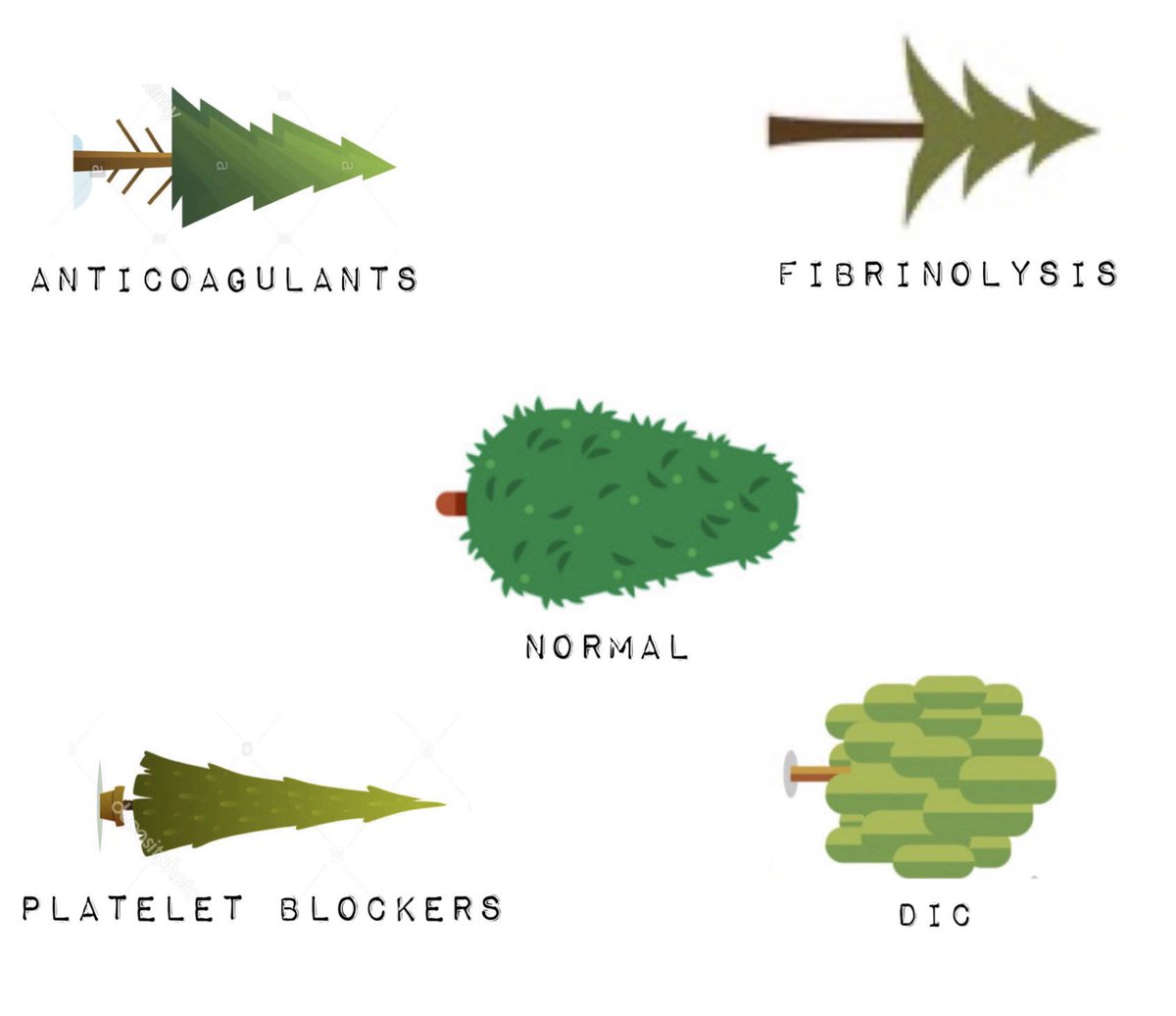 nobubbles2's tweet image. Christmas TEG edition
#TEG #anticoagulation #POCtesting #perfusion #cardiacsurgery #cardiac #ICU #bleeding