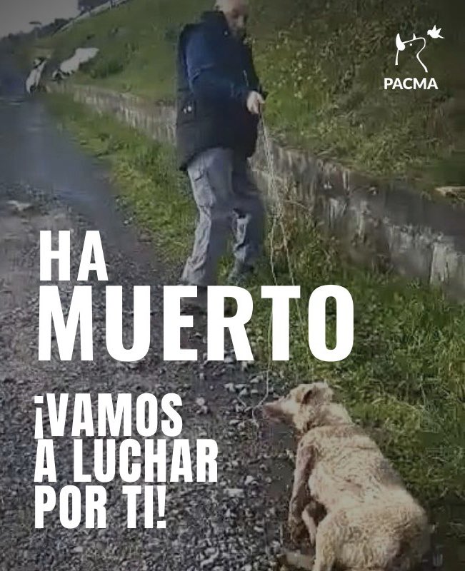 PACMA tweet media