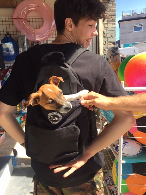 A new addition to our accessories range, our backpack is great for days at the beach. Shop online at tjssurfshop.co.uk/product/backpa…
#tjssurfshop #surf #shop #polzeath #backpack #cornwall