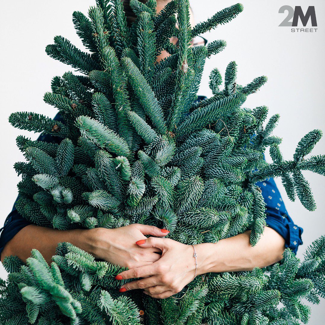 Everyone’s favorite season is here, which means it’s time to pick out a tree! In just 3 days, “Giving Tree Lot” will be providing locally sourced live trees at Winterfest! All proceeds will benefit <a href="/PathwaysDC/">Pathways DC</a> 

Stop by and pick up yours starting Dec. 6th.

<a href="/WundergartenDC/">Wunder Garten</a>