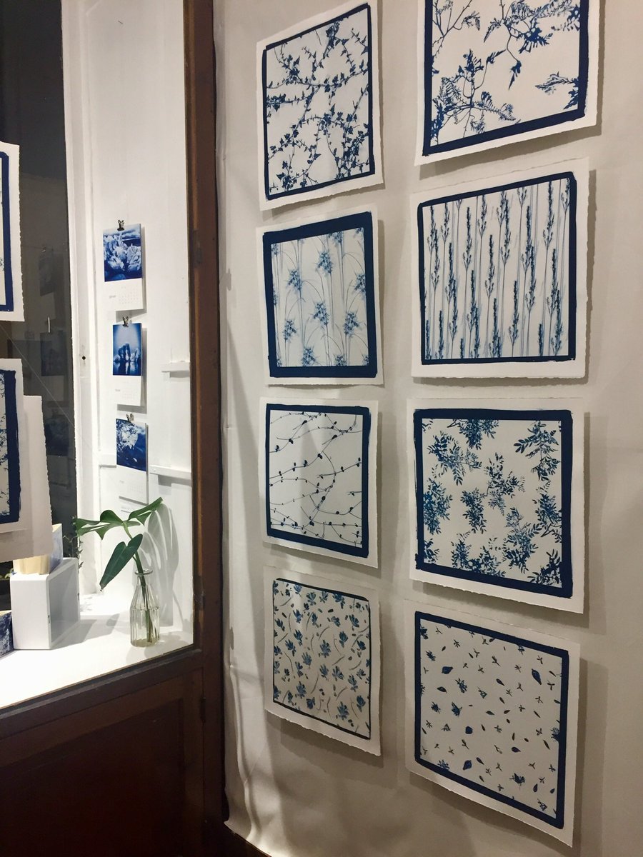 papiersensible's tweet photo. Très belle exposition de cyanotype, magnifique tirages, à voir absolument! Réalisé par le collectif kyano à la galerie "Le 102" situé 102 rue du cherche midi, 75006 Paris. #Iceland https://t.co/F4GSRVlKF8