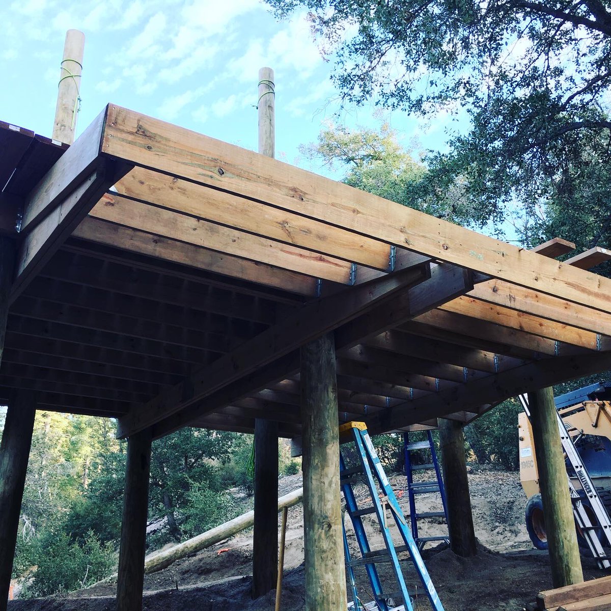 bonsaidesign's tweet image. A new Bonsai Design project in the works for the Boy Scouts of America in CA!  Looks like another kind of visitor is curious about what we have planned... #bonsaicrewrocks #bonsaidesign #canopytour #zipline #bsa #california #mountainlion 📸: @nicrley