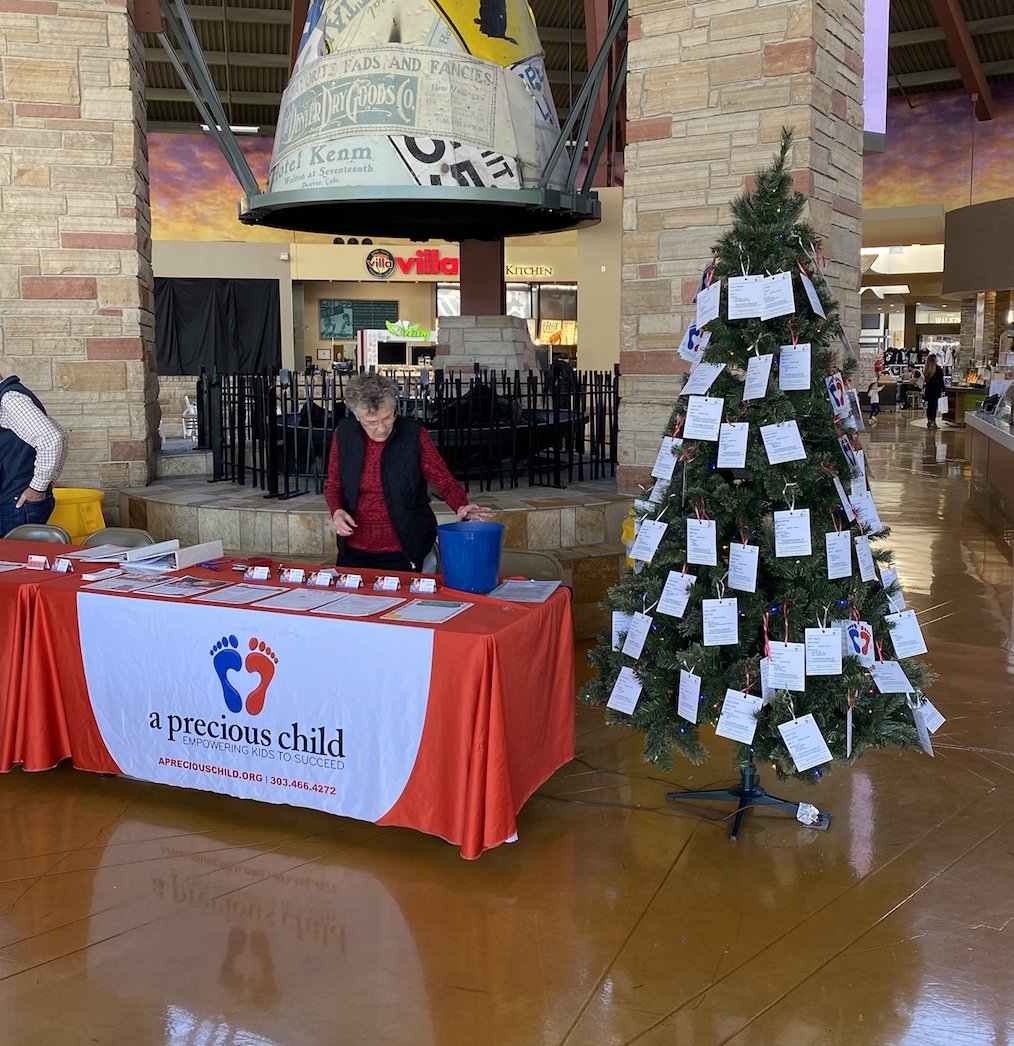 Happy Giving Tuesday! We're partnering with A Precious Child this year to bring Christmas Cheer to all! Stop by the food court to pick a tag from the tree and help a child in need by purchasing the items listed! #givingtuesday