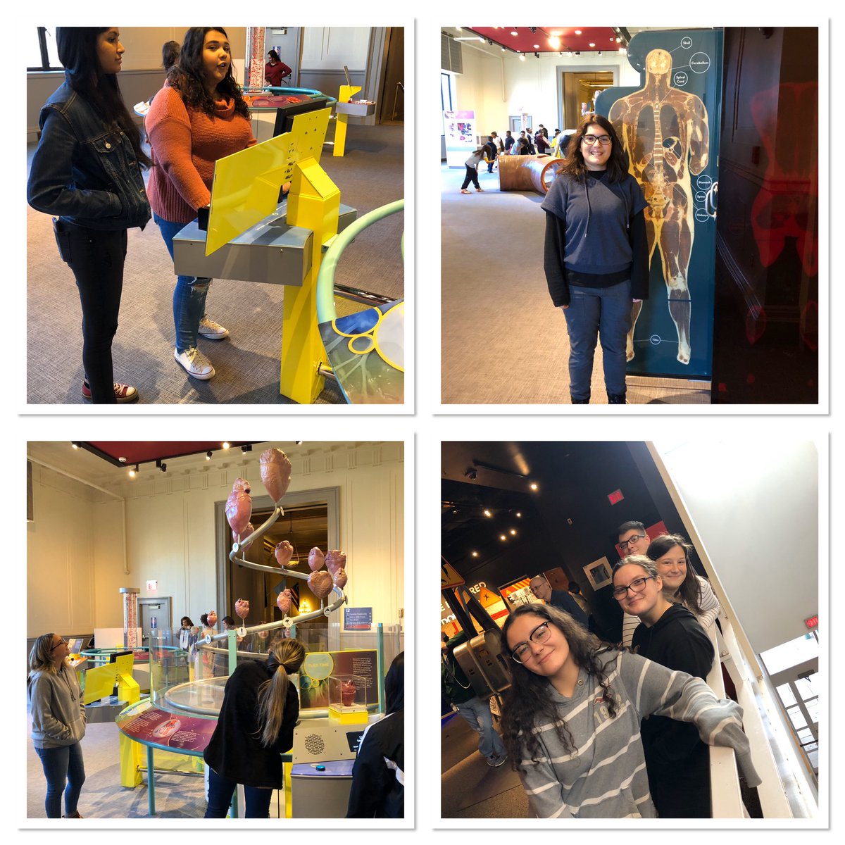 bioshemesh's tweet photo. Fun and Learning at the Franklin Institute @tfi #FieldTrip #fimastereducators #TrumanScience #btsdtigers https://t.co/7pOOmMbhvR