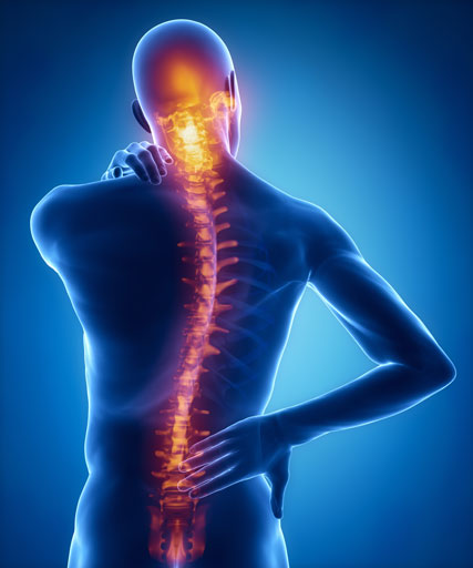 Can a #Chiropractor Correct #Scoliosis? #ChiropracticTreatmentforScoliosis tinyurl.com/wrjna9u