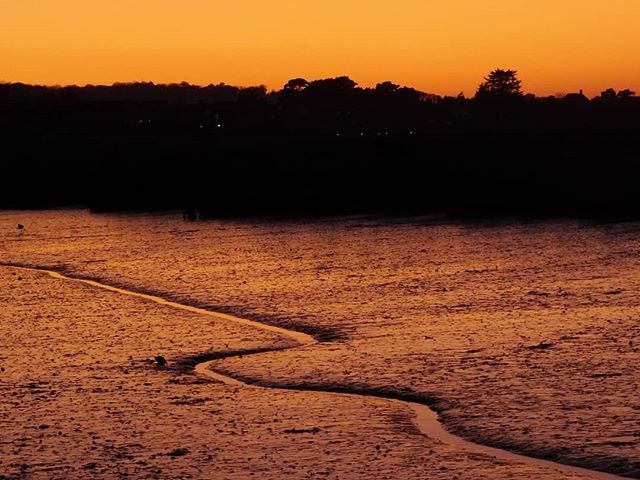 snuggleporium's tweet photo. Post-sunset skyglow on the marsh this evening. No filter.

#brancasterstaithe #brancaster #northnorfolk #norfolk #northsea #northnorfolkcoast #coast #smartphonephotography #hasselblad #motoz2play #hasselbladmod #coastpath #skyglow #wintersunset https://t.co/38j7n4tzZS https://t.co/S1Te7OAmOp