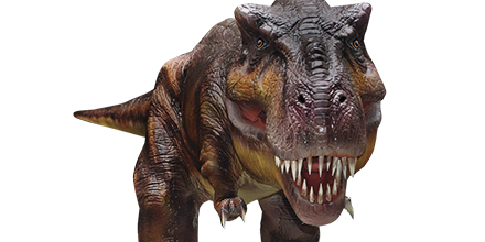 🦕¡Siguen los DINOS en Formosa! 🦖
Comprá tus entradas online acá -->bit.ly/Dinos-Aguara 

HORARIOS de la Expo:
Miércoles y Jueves de 9 A 12:00hs y de 16 a 21:00hs 
Viernes, Sábados, Domingos y Feriados de 18 a 23:00hs
CLUB AGUARA 👉Av. Dr. Kirchner 3390, Formosa Capital